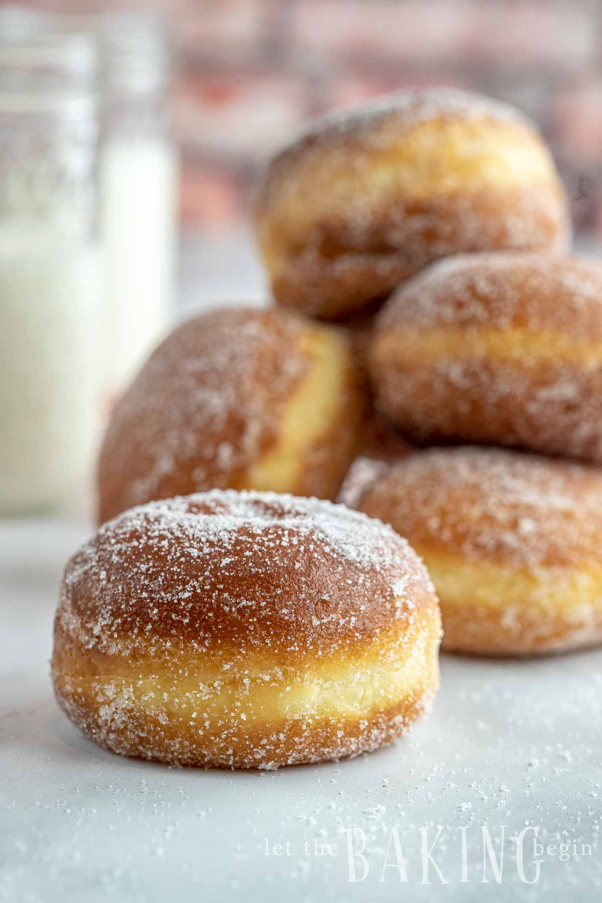Fried Donuts (10)