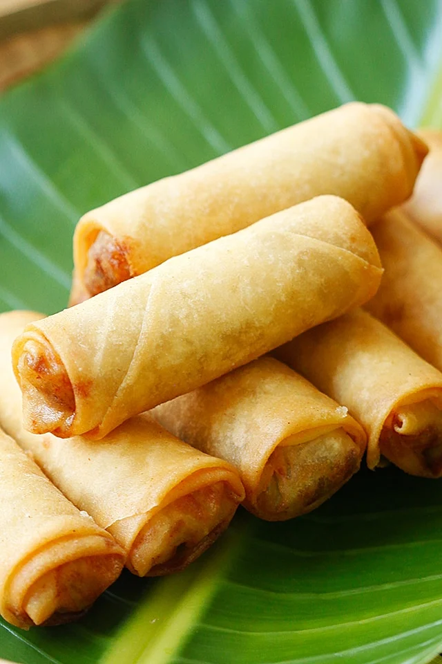 Spring Roll (1)